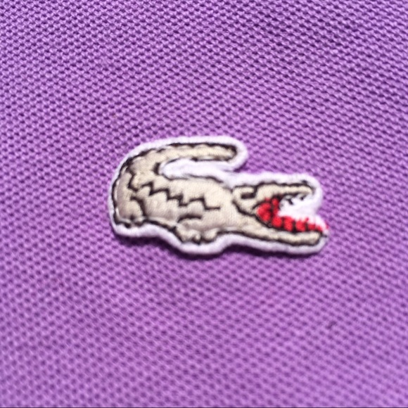 LONG SLEEVE RAGLAN - Picture 2 of 2